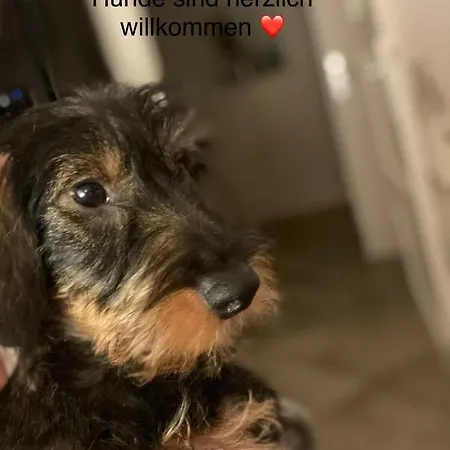 アパート Strandapartment In Fuer 2-4 Personen *